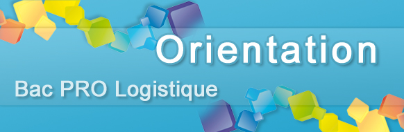 Rapport de stage logistique bac pro