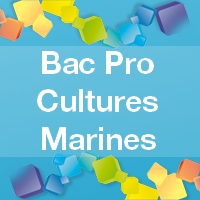 Bac Pro Cultures Marines - Admission, Formation, Débouchés