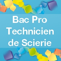 Bac Pro Technicien de Scierie - Admission, Formation, Débouchés