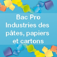 Bac Pro Industries des Pâtes, Papiers et Cartons - Admission, Formation, Débouchés