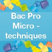 Bac Pro Microtechniques - Admission, Formation, Débouchés