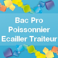 Bac Pro Poissonnier Ecailler Traiteur - Admission, Formation, Débouchés