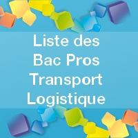 Tout savoir sur les Bacs PROS en Logistique / Transport 