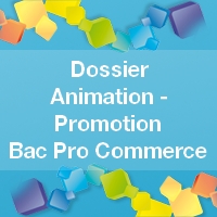 Tout sur le dossier promotion-animation - Bac Pro Commerce