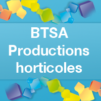 Après un Bac Pro : BTSA Productions horticoles
