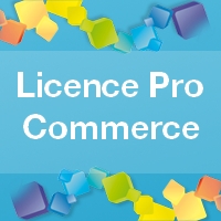 Orientation Bac Pro : Licence pro commerce spécialité technico-commercial (PME-PMI)