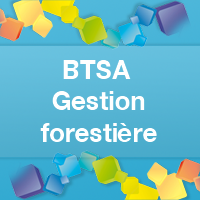 BTSA Gestion forestière après un Bac Pro