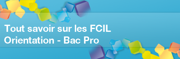 Faire une FCIL après un Bac Pro ?
