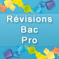 Fiches de révision d'Eco Droit - Tous les cours pour Bac Pro 2014