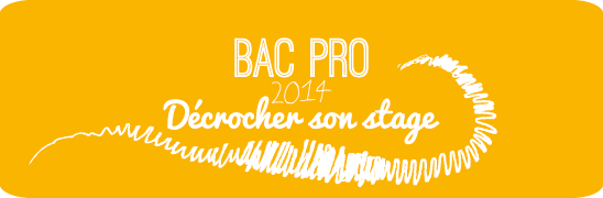 stage bac pro 2014