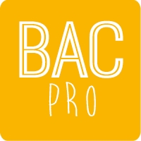 En quoi consiste le Bac Pro en Alternance ? 