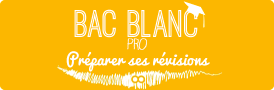 Bac PRO - Comment préparer le Bac Blanc 2016 ?