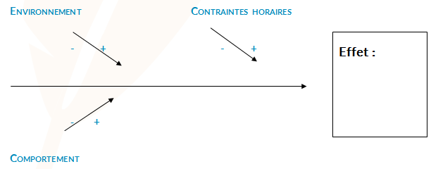TÉLÉCHARGER DIAGRAMME DISHIKAWA VIERGE