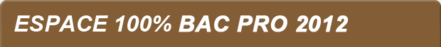 Espace 100% Bac PRO 2013