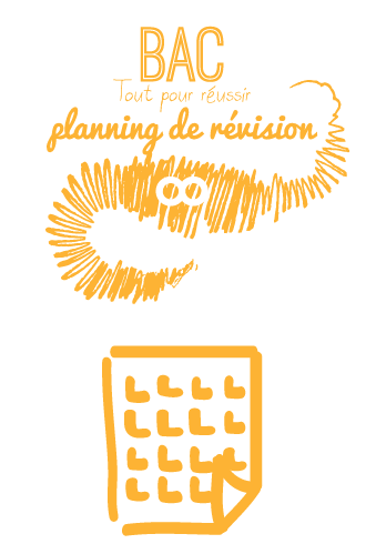 Planning de révision vierge - Bac PRO