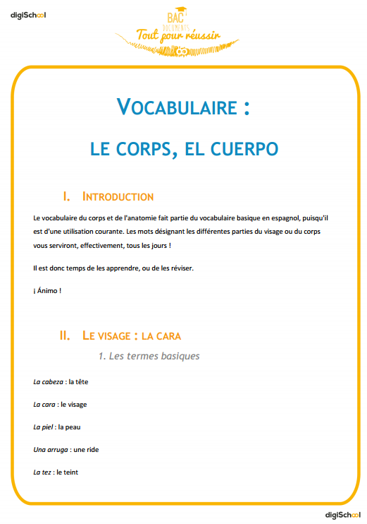 Vocabulaire : le corps, el cuerpo - Espagnol - Seconde