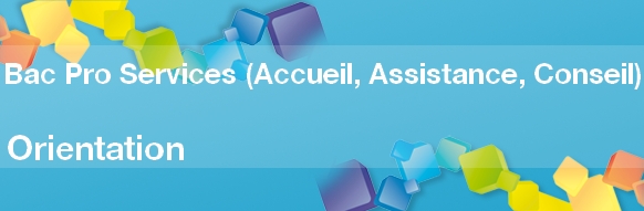 Bac Pro Services (Accueil, Assistance, Conseil) - Conditions d’Admission, Formation, Débouchés