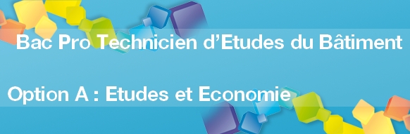 Bac Pro Technicien d’Etudes du Bâtiment Option Etudes et Economie : s’Inscrire ; se Former ; Entrer dans la vie active ; Poursuivre ses études