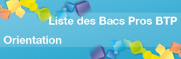 Toutes les informations sur les Bacs Pros du BTP (Bâtiment et Travaux Publics)