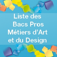 Renseignements utiles sur les Bacs Pros Métiers dArt et du Design