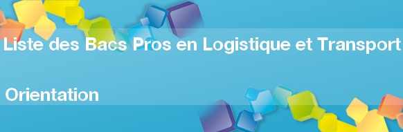 Tout savoir sur les Bacs PROS en Logistique / Transport 