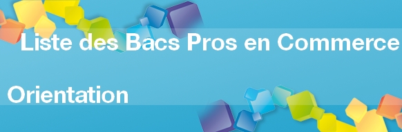 Tout savoir sur les Bacs Pros du Commerce