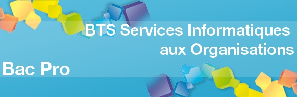 BTS Services Informatiques aux Organisations : formation courte après un Bac Pro