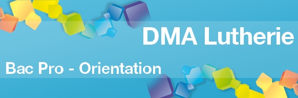 Orientation Bac Pro: DMA Lutherie