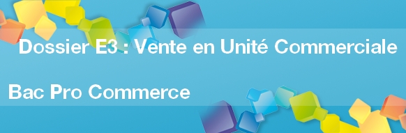 Comment rédiger le dossier E3: Vente en Unité Commerciale ? Bac Pro Commerce