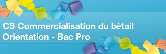 CS Commercialisation du bétail après un Bac Pro