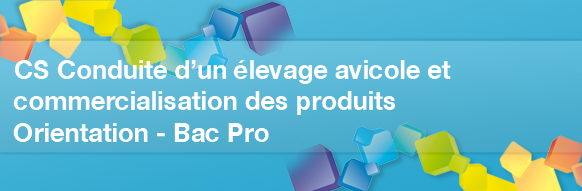 Après un Bac Pro : CS Conduite d'un élevage avicole