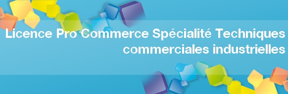 Licence pro commerce spécialité techniques commerciales industrielles, chargé d'affaires