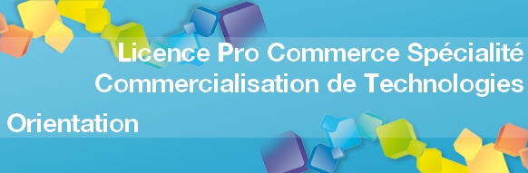 Licence pro commerce spécialité commercialisation de technologies après un Bac Pro