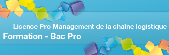 Orientation Bac Pro : Licence Pro Management de la chaîne logistique