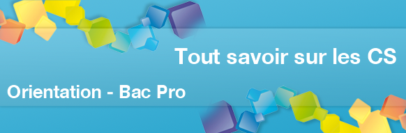 Faire un CS après un bac pro ?