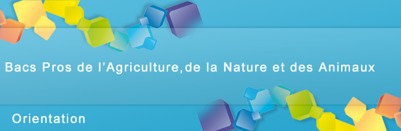 Bacs PROS Agriculture / Nature & Animaux - Inscription, Formation, Débouchés