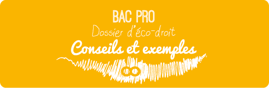 Dossier d'Éco-Droit - Conseils et exemples