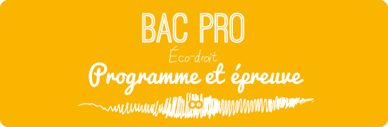 Programme et épreuve d'Eco Droit du Bac PRO