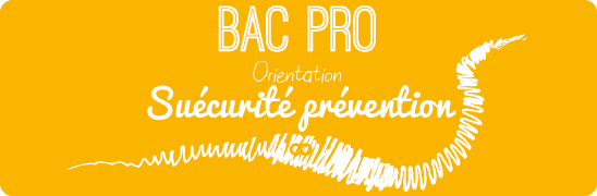 Bac Pro Sécurité Prévention : Admission, Formation, Débouchés