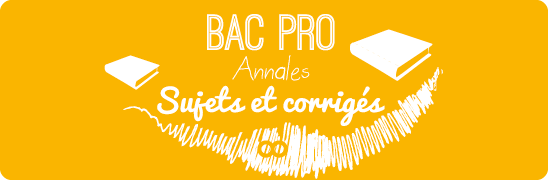 Réviser le Bac PRO par matière ! 