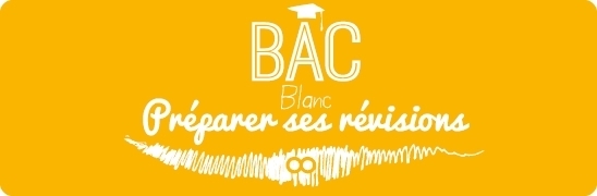 En quoi consiste le Bac Pro Commerce? 