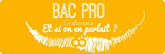 En quoi consiste le Bac Pro en Alternance ? 