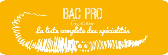 En quoi consiste le Bac Pro Photographie? 