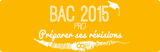 Le compte à rebours du bac PRO a commencé !