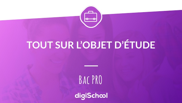 Bacs Pros Tertiaires : Tout sur l'objet d'étude