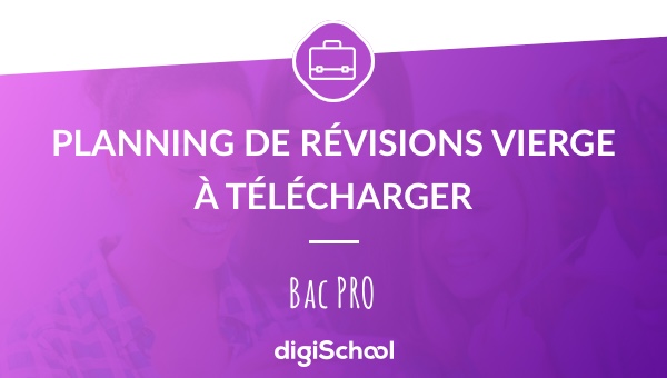 Planning de révision du Bac PRO 2018