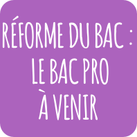 L'avenir de la filière professionnelle - Bac PRO